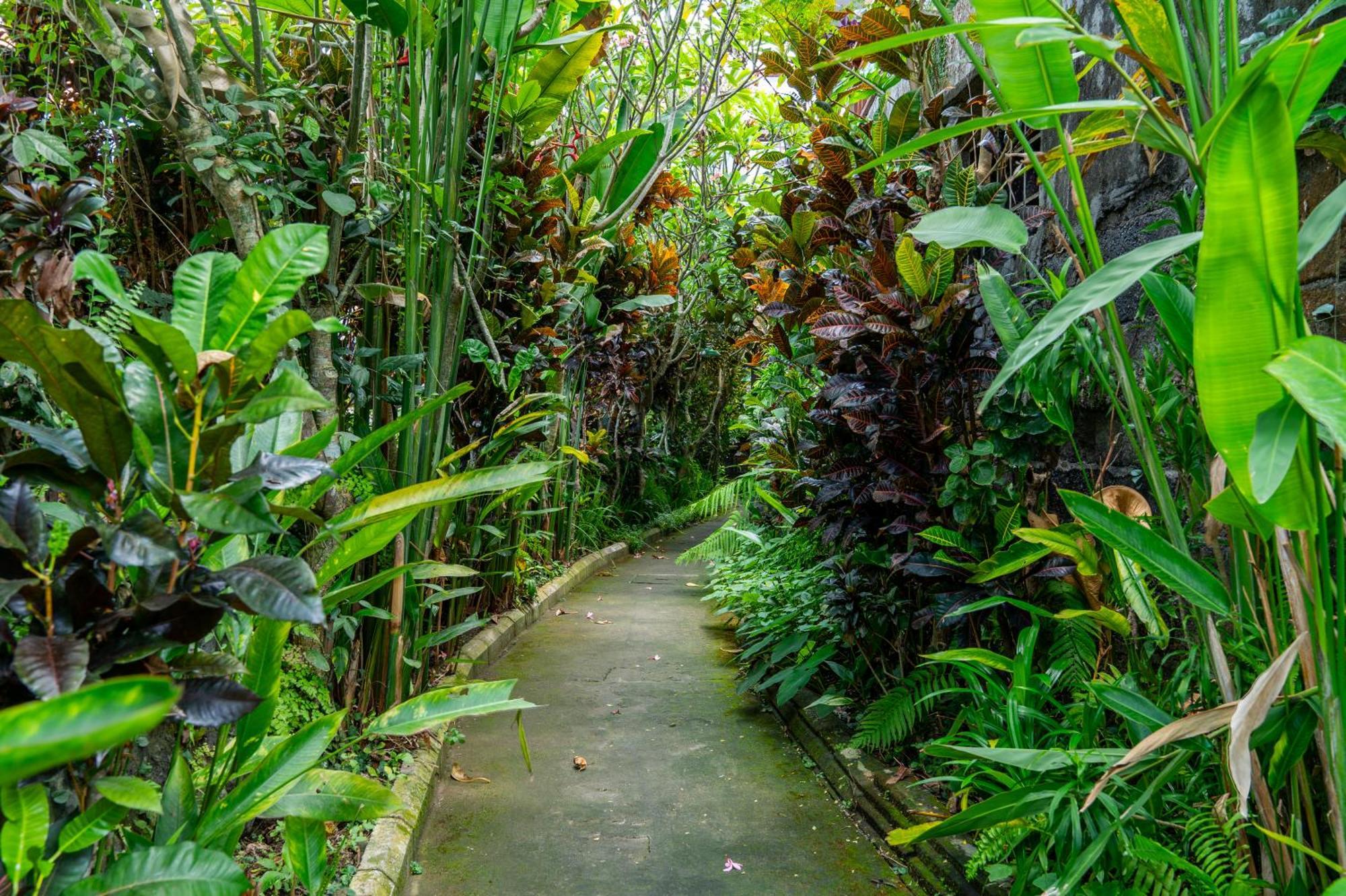 Kausala Bisma Ubud Exteriér fotografie